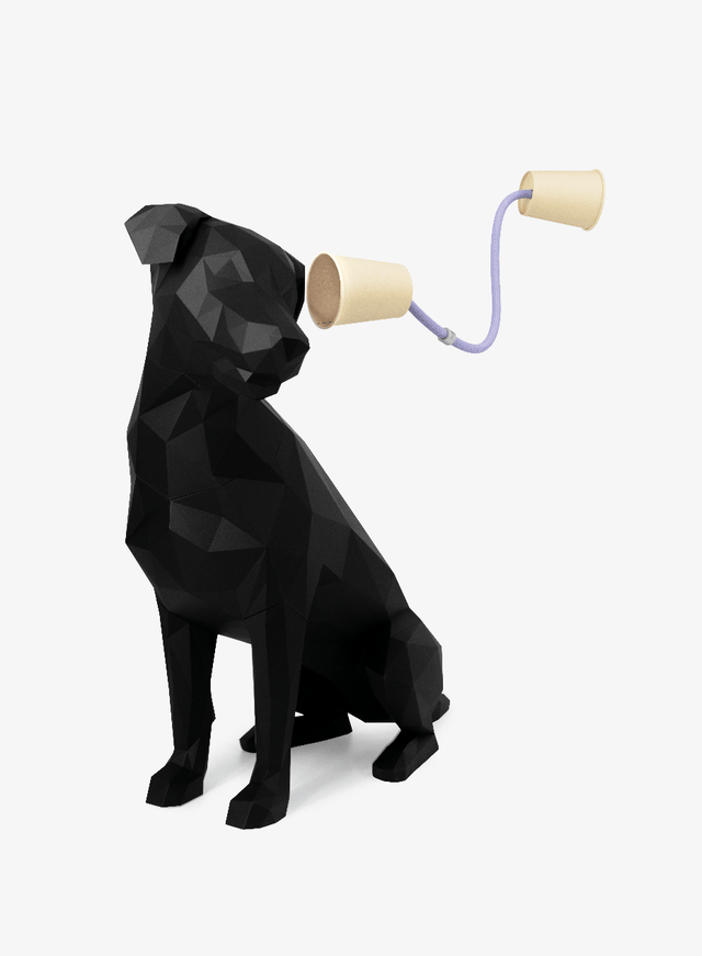 What Slip Leads Are Meant to Do and Why They Don’t Work for All Dogs