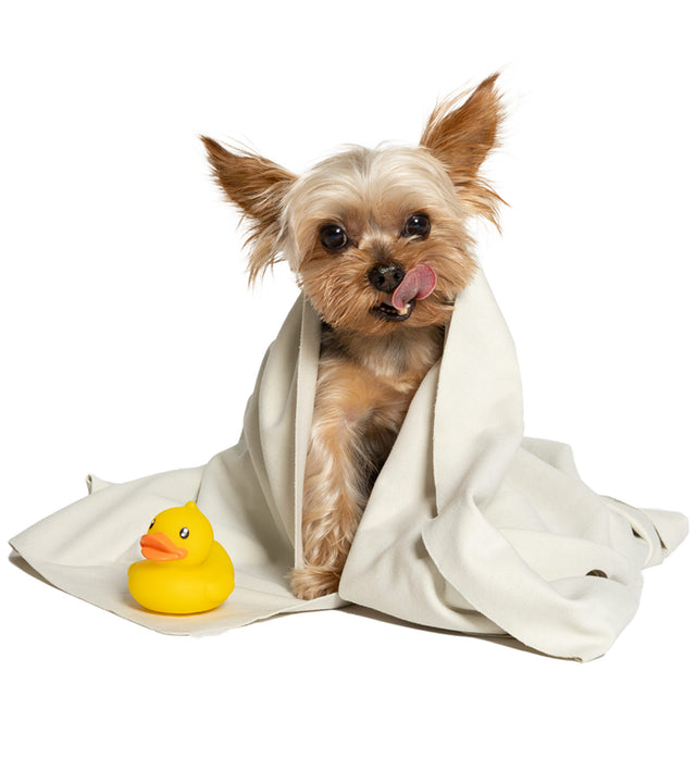 What bath towel is best for drying dogs?