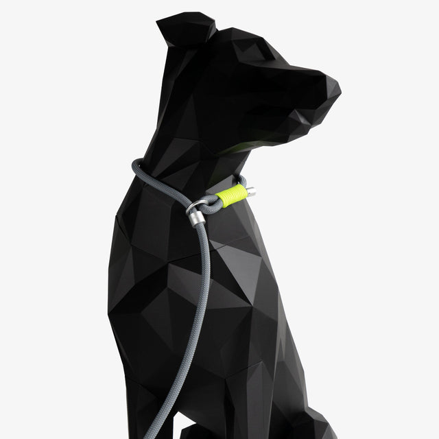 How to Use a Slip Lead Correctly | Complete Guide for Dog Owners