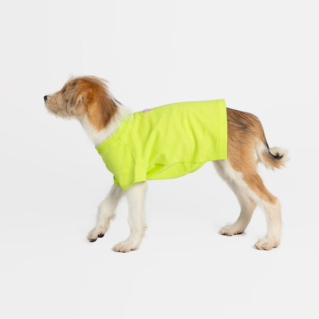 bump up Air Tag T, Lemon, dog t-shirt, dogwear, dog clothes
