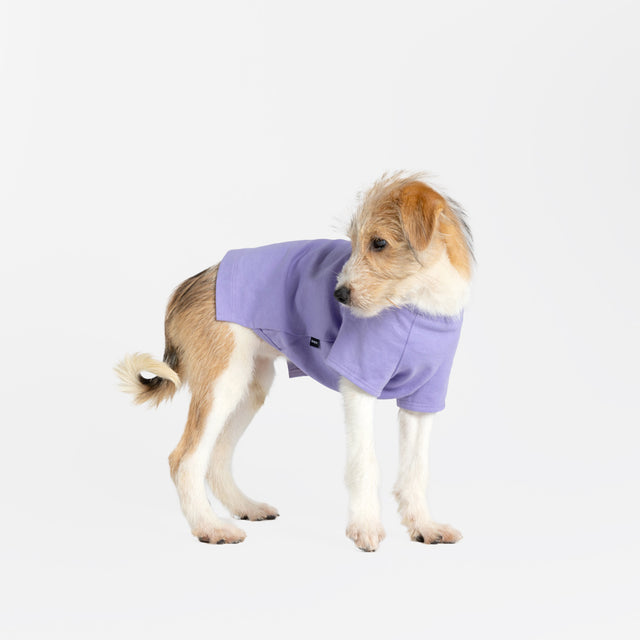 bump up Air Tag T, Purple, dog t-shirt, dogwear, dog clothes