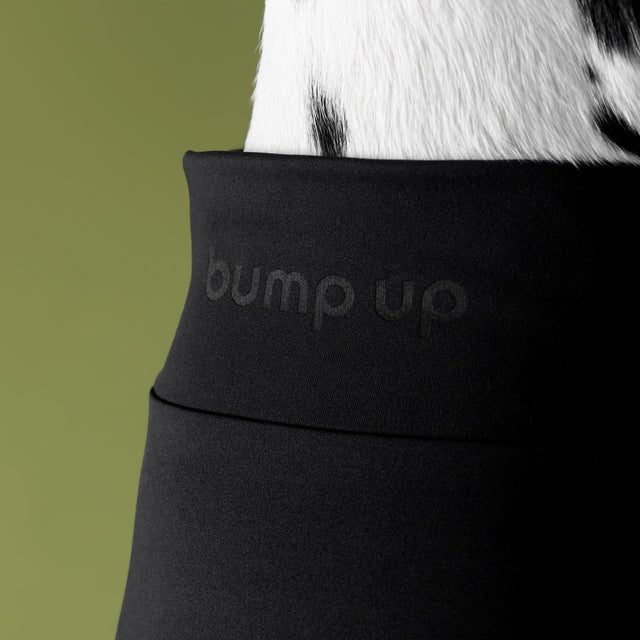 bump_up_Com-Fit_Black_Dogwear_1