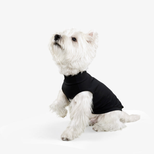 bump_up_Com-Fit_Black_Dogwear_3