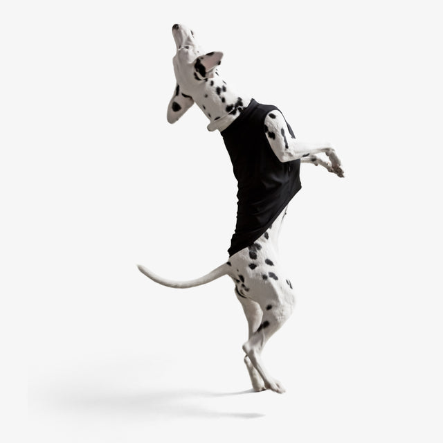 bump_up_Com-Fit_Black_Dogwear_6