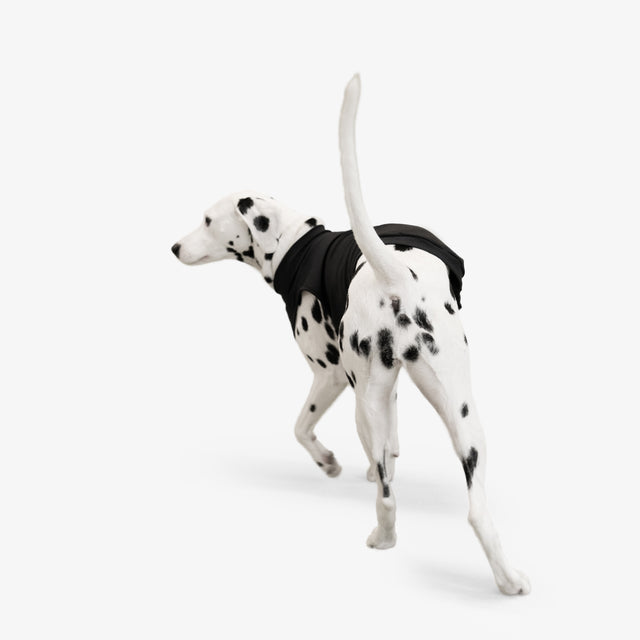 bump_up_Com-Fit_Black_Dogwear_7