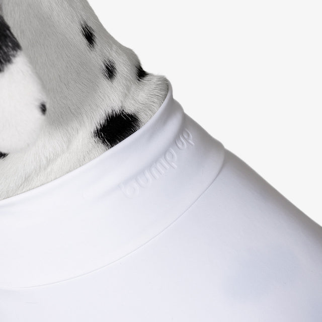 bump_up_Com-Fit_White_Dogwear_1