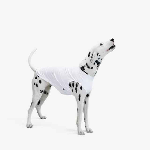 bump_up_Com-Fit_White_Dogwear_2