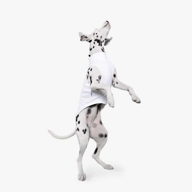 bump_up_Com-Fit_White_Dogwear_3