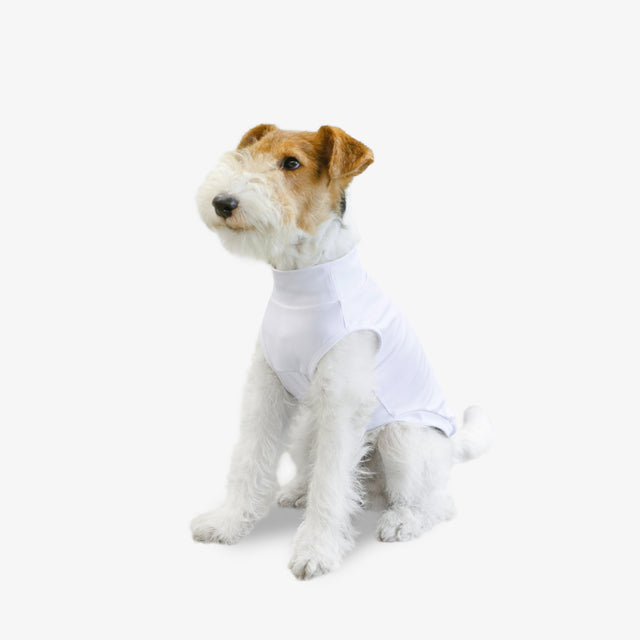 bump_up_Com-Fit_White_Dogwear_4