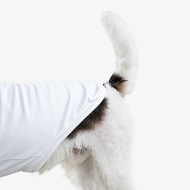 bump_up_Com-Fit_White_Dogwear_5