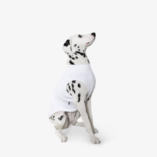 bump_up_Com-Fit_White_Dogwear_6