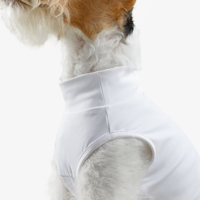 bump_up_Com-Fit_White_Dogwear_7