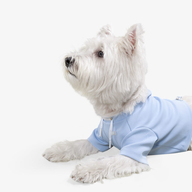 bump_up_Crop_Hoodie_Blue_Dogwear_1