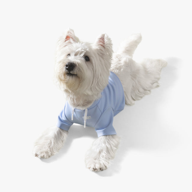 bump_up_Crop_Hoodie_Blue_Dogwear_2
