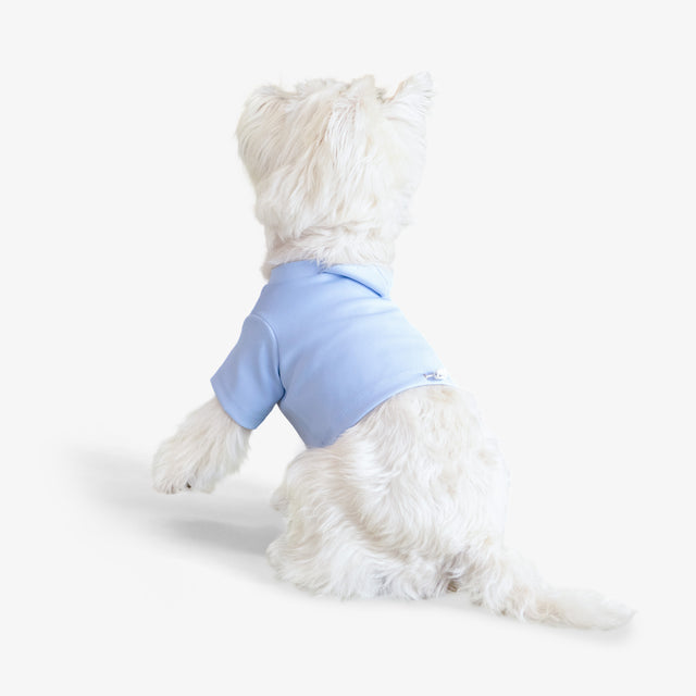 bump_up_Crop_Hoodie_Blue_Dogwear_3