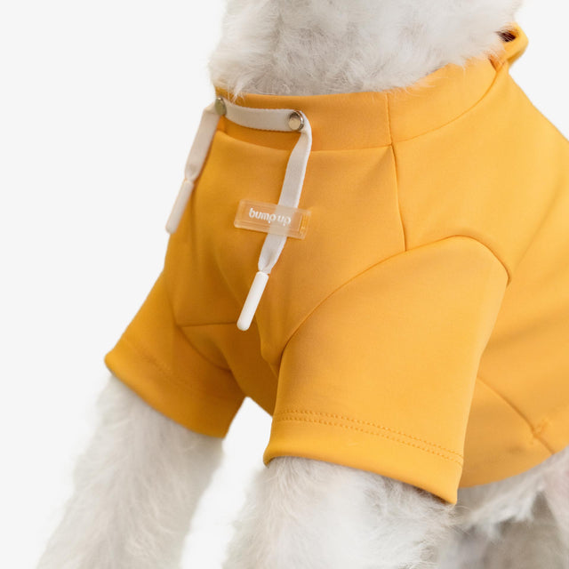 bump_up_Crop_Hoodie_Orange_Dogwear_1