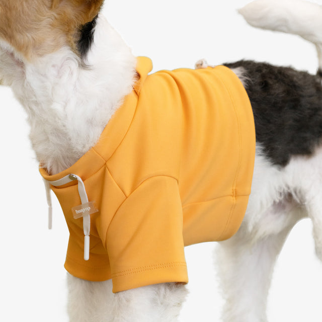 bump_up_Crop_Hoodie_Orange_Dogwear_2