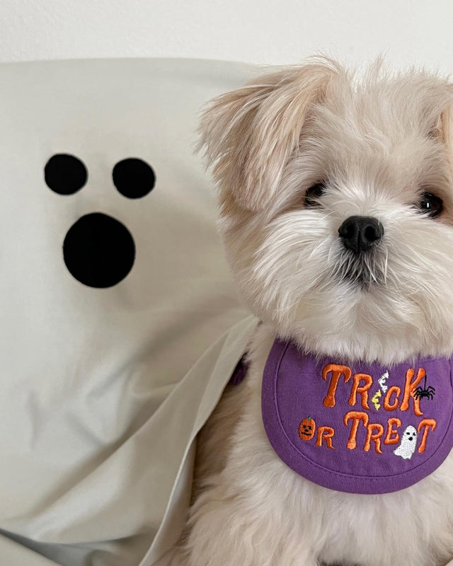 bump up, dog bath towel, ghost dressup, high quality microfibre, super-absorbent, quick-dry