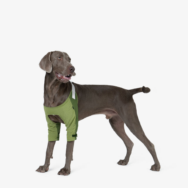 Elbow Pad