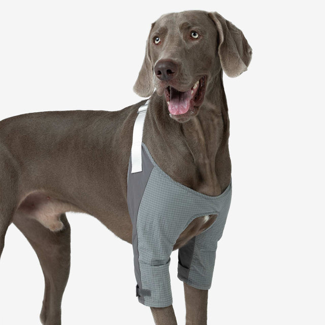 Elbow Pad