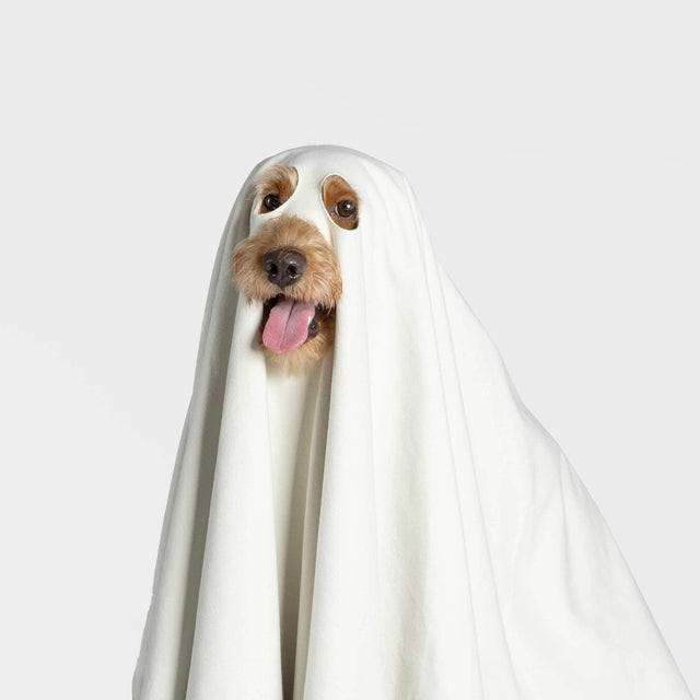 Ghost Dog Quick Dry Towel