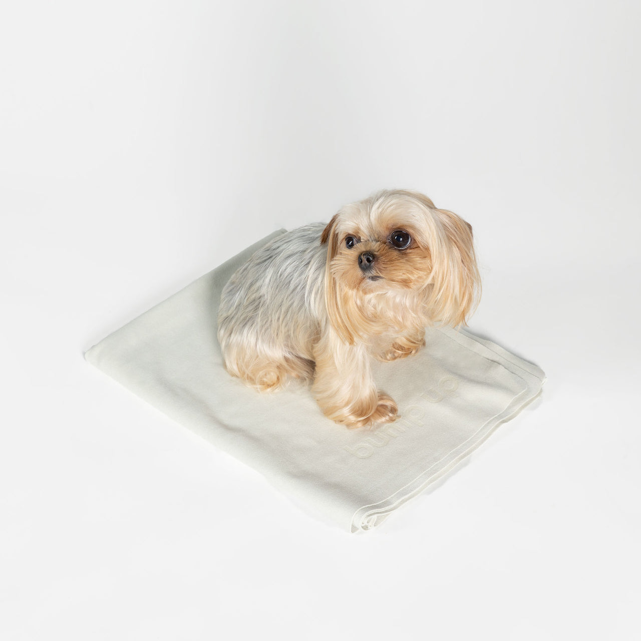 Ghost Dog Quick Dry Towel bump up