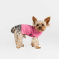 bump up Air Tag T, Pink, dog t-shirt, dogwear, dog clothes