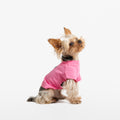 bump up Air Tag T, Pink, dog t-shirt, dogwear, dog clothes