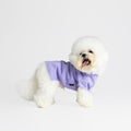 bump up Air Tag T, Purple, dog t-shirt, dogwear, dog clothes