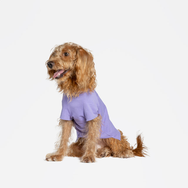 bump up Air Tag T, Purple, dog t-shirt, dogwear, dog clothes