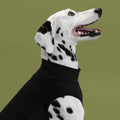 bump_up_Com-Fit_Black_Dogwear_2