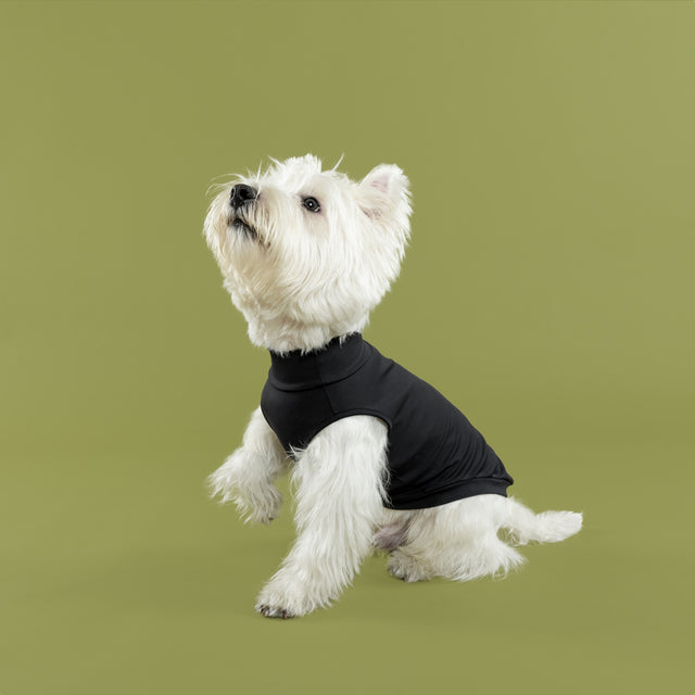 bump_up_Com-Fit_Black_Dogwear_3