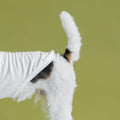 bump_up_Com-Fit_White_Dogwear_5