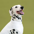 bump_up_Com-Fit_White_Dogwear_6