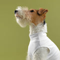 bump_up_Com-Fit_White_Dogwear_7