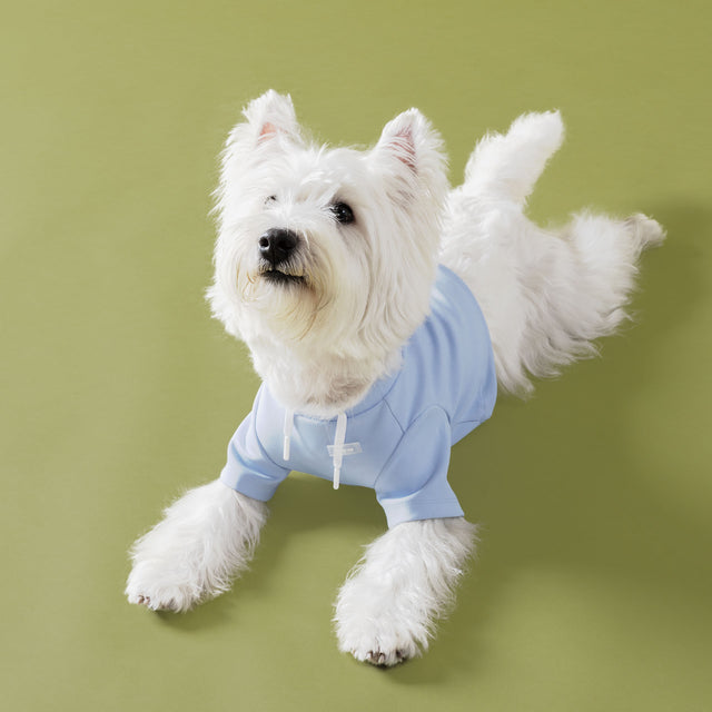 bump_up_Crop_Hoodie_Blue_Dogwear_2