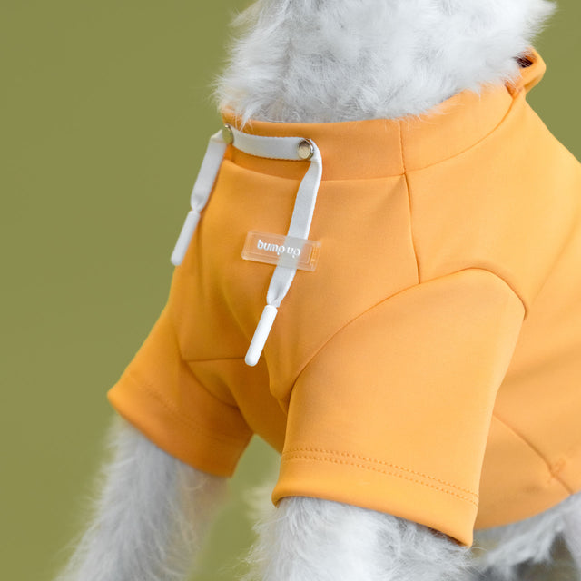 bump_up_Crop_Hoodie_Orange_Dogwear_1