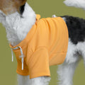 bump_up_Crop_Hoodie_Orange_Dogwear_2